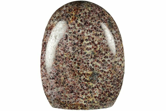 Free-Standing, Polished Garnetite (Garnet) - Madagascar #186817